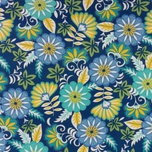 Cadelle Baltic