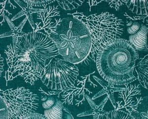 Saltwater Atlantic