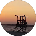 Cape Cod Specialties Avatar