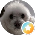 Kim Cabelka Avatar